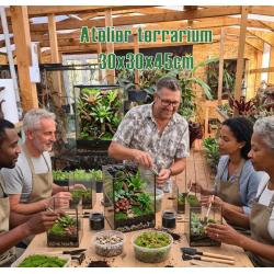 Atelier terrarium