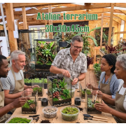 Atelier terrarium