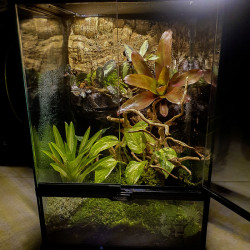 Atelier terrarium
