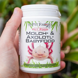 Axolotl baby food