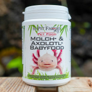 Axolotl baby food