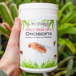 Drosofix 500 g – Substrat nutritif pour drosophiles | JungleBox