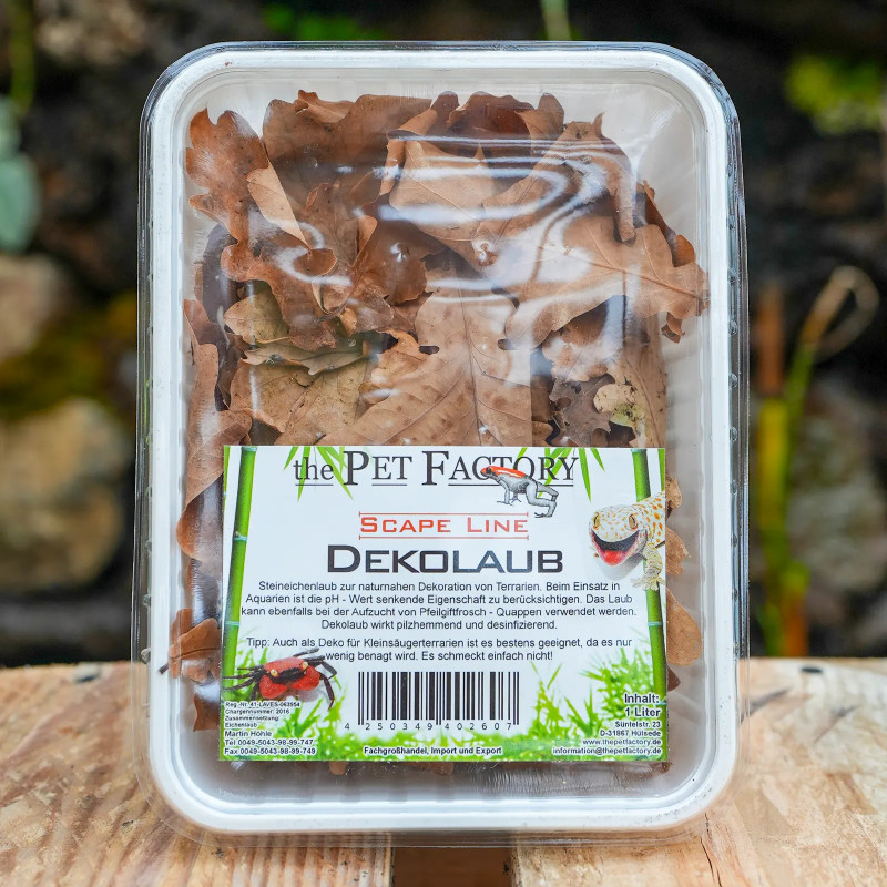 Feuilles naturelles pour terrarium