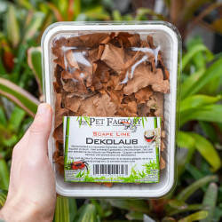 Feuilles naturelles pour terrarium