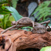 Réplique de Gecko Feuille de Madagascar (Uroplatus fantasticus) – Échelle 1:1