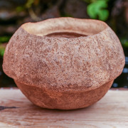coque de Sapucaia du brésil