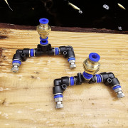 double buses x 2 pour terrarium planté