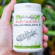 Collembolafix 2 150 g – Substrat nutritif pour collemboles | JungleBox