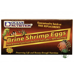 Artemia eggs 50GR