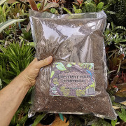 Substrat pour Terrarium Naturel & Drainant | JungleBox
