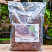 Premium Graded Pine Bark pH 5 – Terrarium & Tropical Plant Substrate | JungleBox