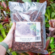 Écorces de Pin Calibrées Premium pH 5 – Terrarium & Plantes Tropicales | JungleBox