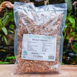 Sphaigne déshydratée 3L