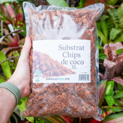 Chips de Coco pour Substrat – Retient l’Humidité | JungleBox