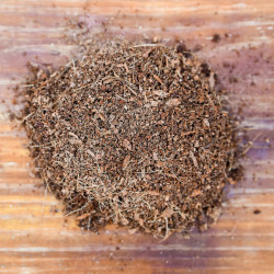 Substrat Humus de coco 3L