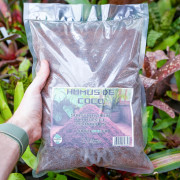 Humus de coco 3L – Substrat naturel pour plantes & terrariums | JungleBox