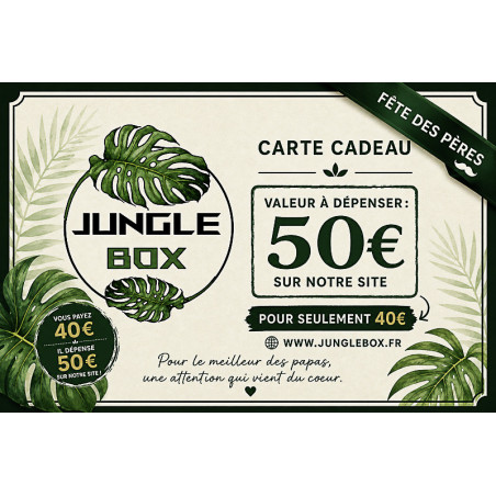 Father's Day Gift Card Offer | €50 Gift Card for €40 | JungleBox