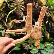 Racine naturelle de vigne WYSIWYG | Bois décoratif terrarium, paludarium & aquarium | JungleBox