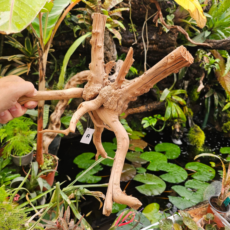 Racine naturelle de vigne WYSIWYG | Bois décoratif terrarium, paludarium & aquarium | JungleBox