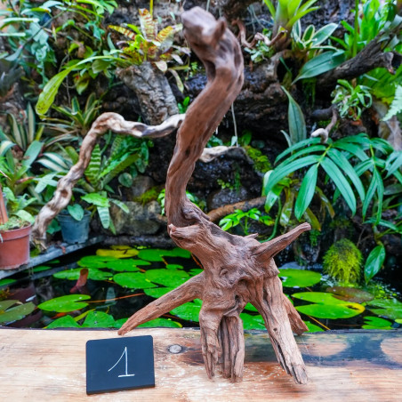 Root SinkNature  40 and 60 cm n°1