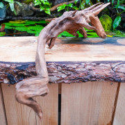 Root SinkNature  40 and 60 cm n°1