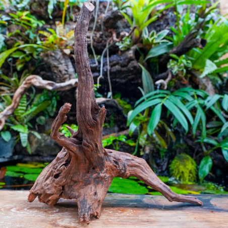 Root SinkNature  40 and 60 cm n°3