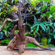 Root SinkNature  40 and 60 cm n°3