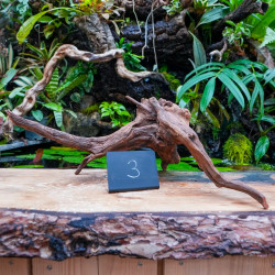 Root SinkNature  40 and 60 cm n°3