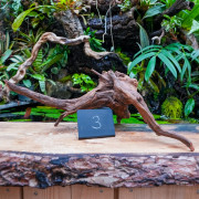 Root SinkNature  40 and 60 cm n°3