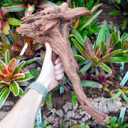Root SinkNature  40 and 60 cm n°3