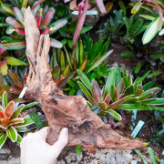 Root SinkNature  40 and 60 cm n°4