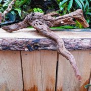 Root SinkNature  40 and 60 cm n°5