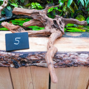 Root SinkNature  40 and 60 cm n°5