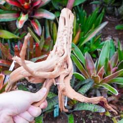 Racine naturelle de vigne WYSIWYG | Bois décoratif terrarium, paludarium & aquarium | JungleBox