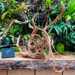 Red Spider Wood Root 35-50 cm WYSIWYG | JungleBox