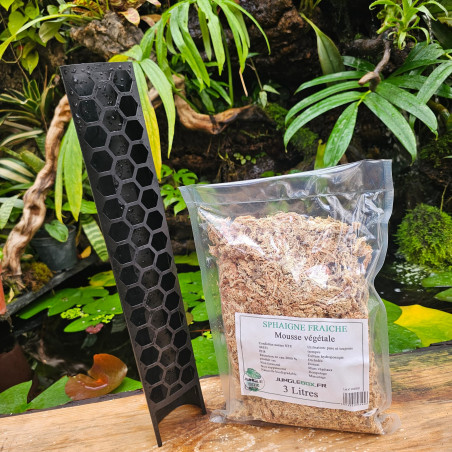 Kit tuteur noir pliable 45 cm + sphaigne 3 L | JungleBox