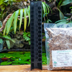 Kit tuteur noir pliable 45 cm + sphaigne 3 L | JungleBox