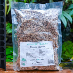 Kit tuteur noir pliable 45 cm + sphaigne 3 L | JungleBox
