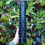 45 cm Black Plastic Plant Support – Moss or Coco | JungleBox