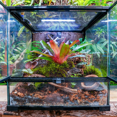 Terrarium planté 45x45x45 cm avec éclairage LED et plantes tropicales