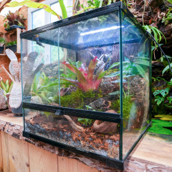 Planted Terrarium 45x45x45 with LED | JungleBox
