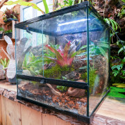Terrarium planté 45x45x45 cm avec éclairage LED et plantes tropicales