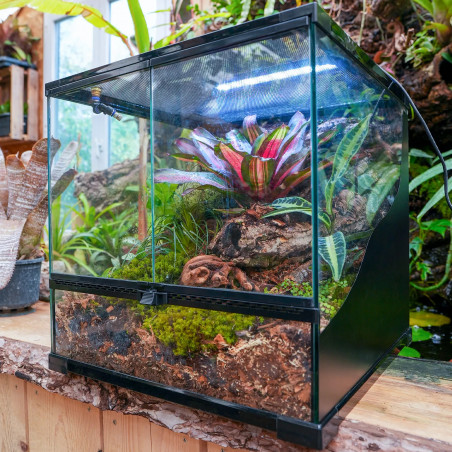 Terrarium planté 45x45x45 cm avec éclairage LED et plantes tropicales