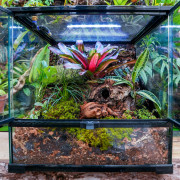 Planted Terrarium 45x45x45 with LED | JungleBox