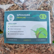 Moss Sphaigne 3 L
