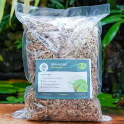 Moss Sphaigne 3 L