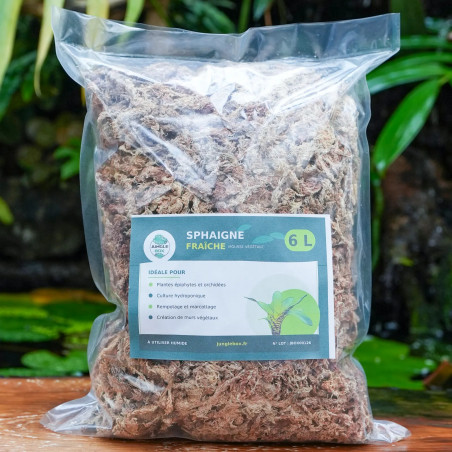 Moss Sphaigne 3 L