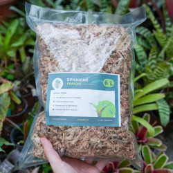 Moss Sphaigne 3 L