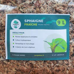Moss Sphaigne ç L