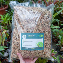 Sphaigne 9 L– Substrat Retenteur & Aéré | JungleBox